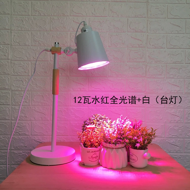 Succulent Fill Light For Home Coloring Chopsticks Container Plant Led Full Spectrum Plant Growth Light Succulent Light Light