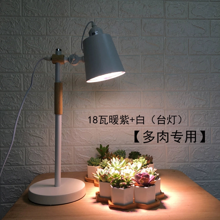 Succulent Fill Light For Home Coloring Chopsticks Container Plant Led Full Spectrum Plant Growth Light Succulent Light Light